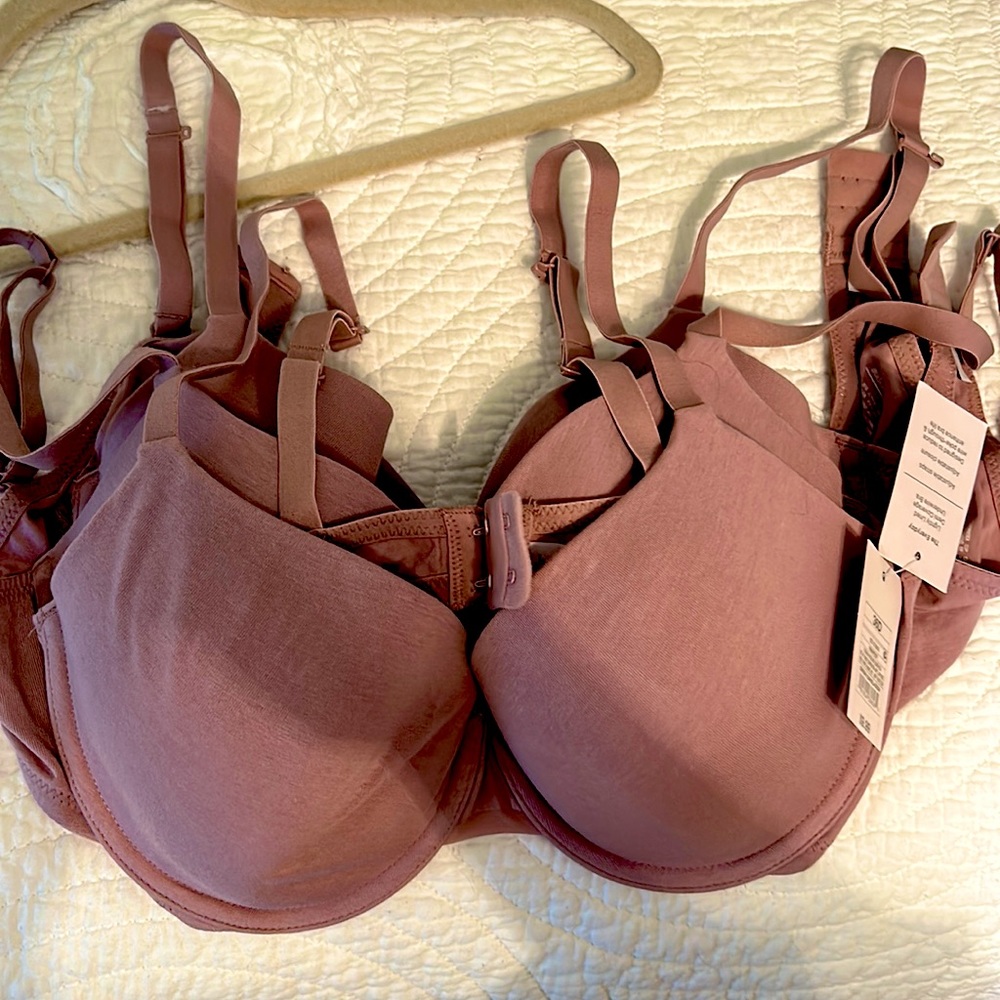 NWT purple Tshirt bra